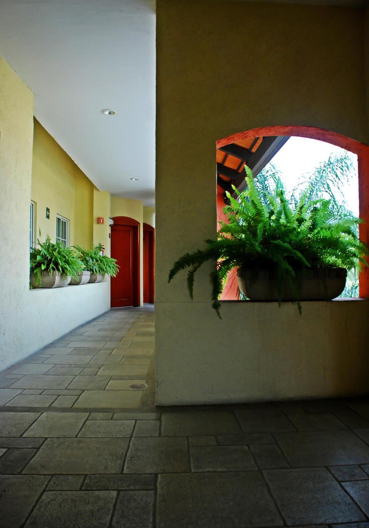 Áurea Hotel&Suites Zapopan Ngoại thất bức ảnh